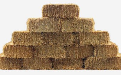 HELP NEEDED: We Require Hay Bales for the Event – Can you help?